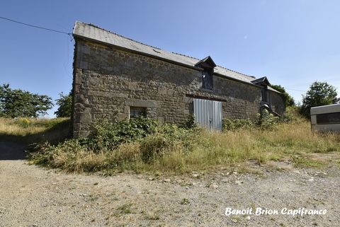 photo no. 1