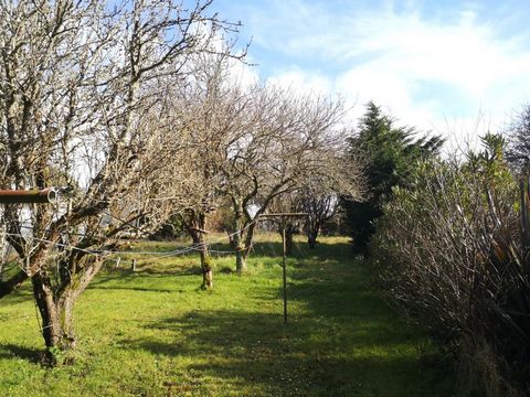 photo no. 2