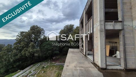 photo no. 8
