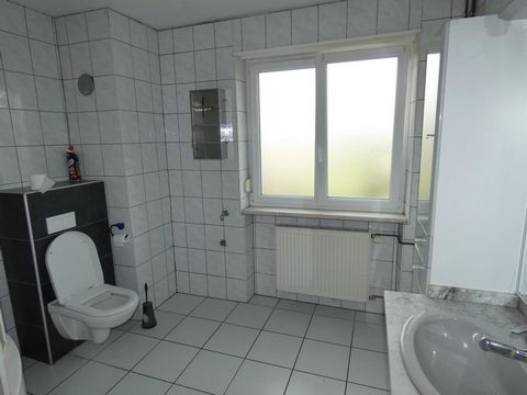 photo no. 8