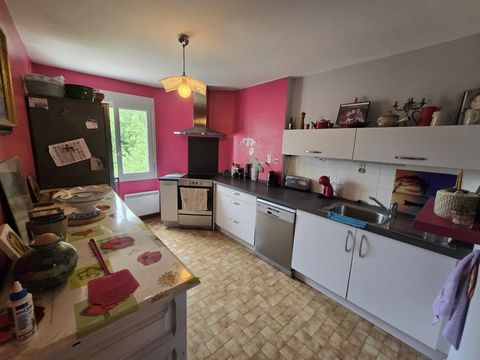 photo no. 12