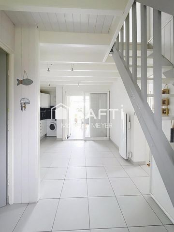 photo no. 6