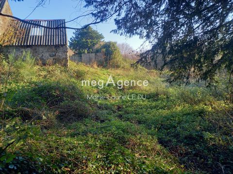 photo no. 9