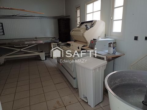 photo no. 15