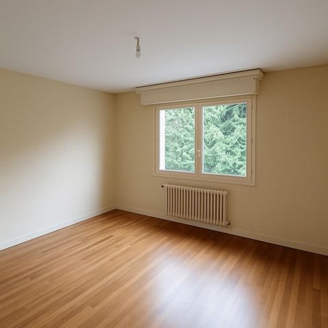 photo no. 4