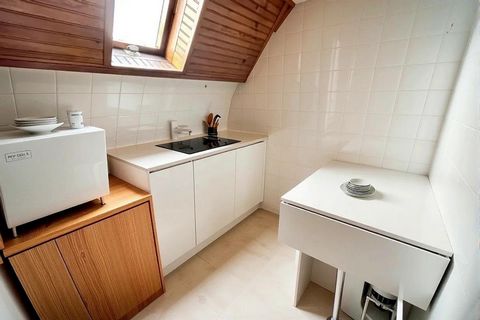 photo no. 13