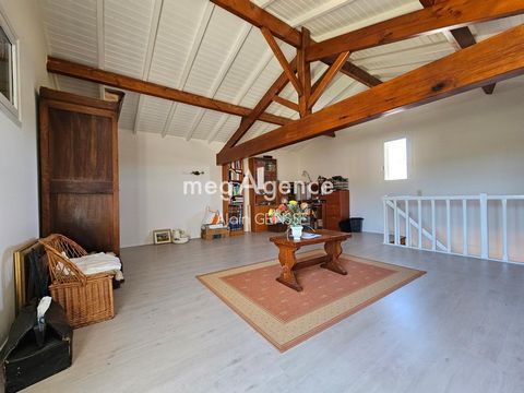 photo no. 10