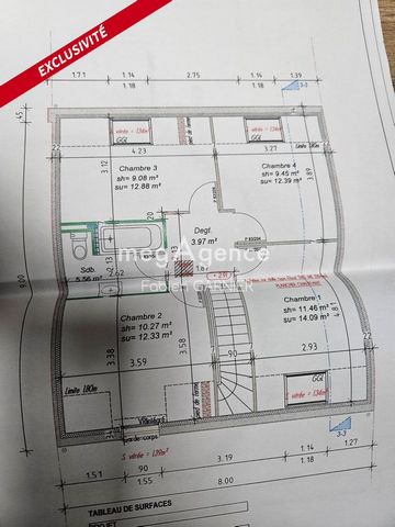 photo no. 10