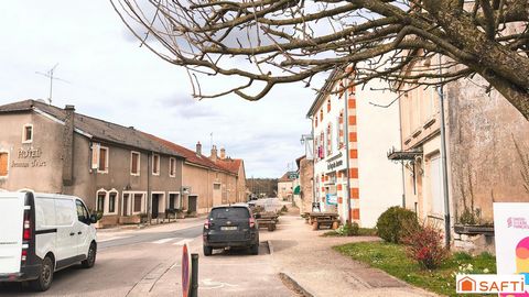 photo no. 11