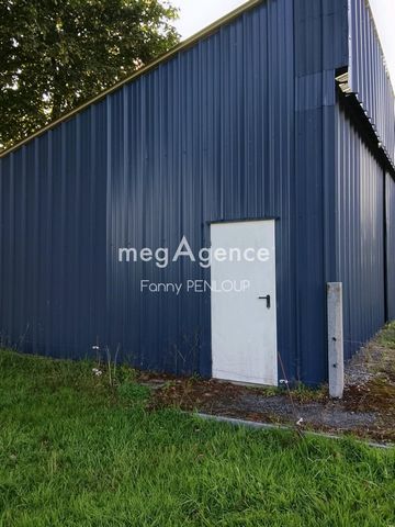 photo no. 11