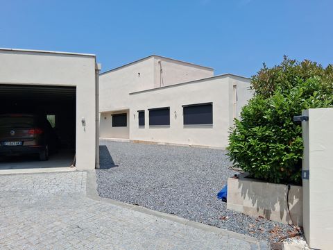 photo no. 6