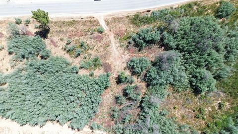 I present to you a rustic land of 8,300m², located on the main road of the charming village of Gonçalo, in the municipality of Guarda. This space offers a privileged location, with easy access and visibility, ideal for those looking to build a countr...
