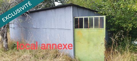 photo no. 6