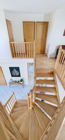 photo no. 12