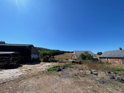 photo no. 9