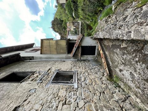 photo no. 10