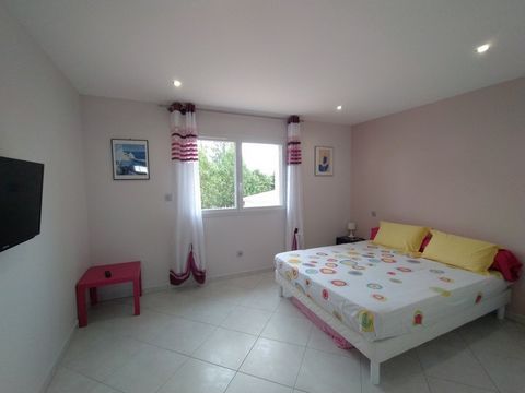 photo no. 11