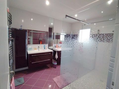 photo no. 12