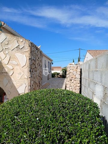 photo no. 3