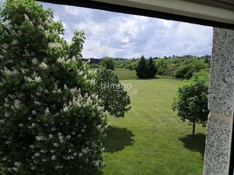 photo no. 19