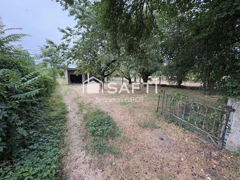 photo no. 10