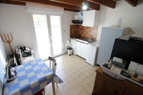 photo no. 8