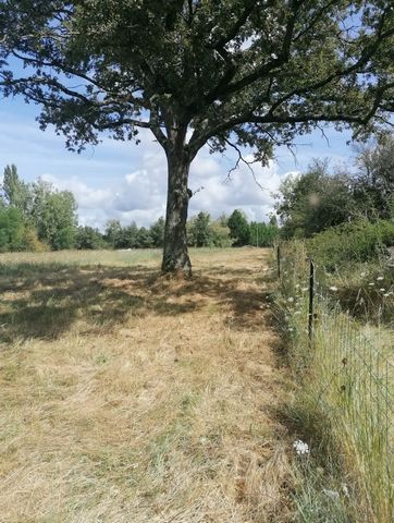 photo no. 4