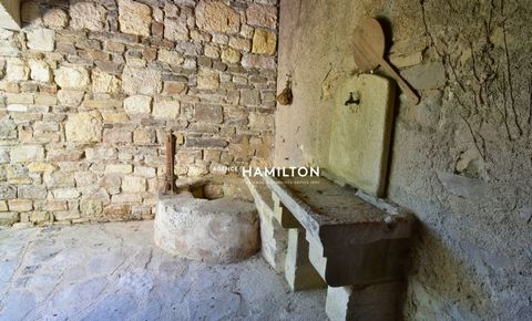photo no. 16