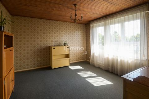photo no. 7