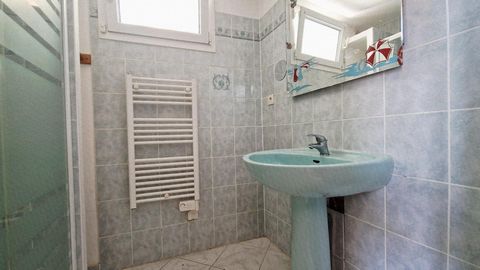 photo no. 8