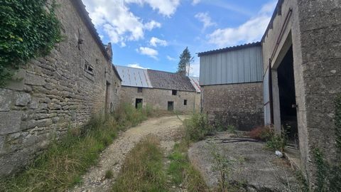 photo no. 3