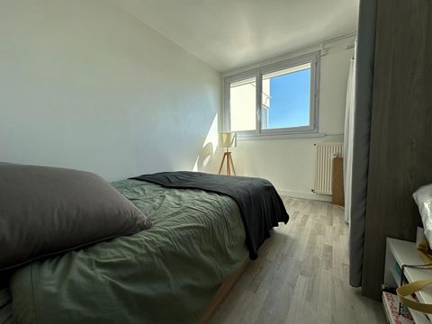 photo no. 6