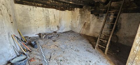 photo no. 13