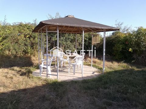 photo no. 10