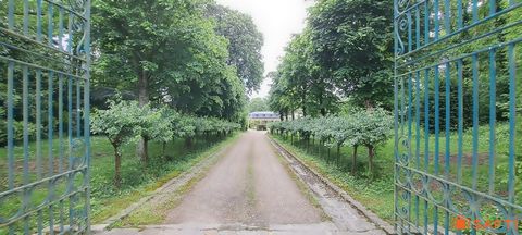 photo no. 12