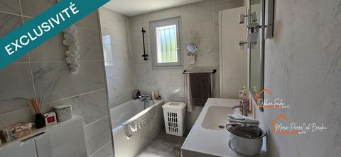 photo no. 12