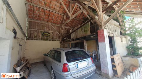 photo no. 11