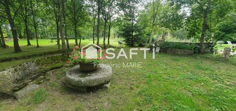 photo no. 6