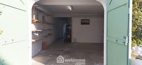 photo no. 6