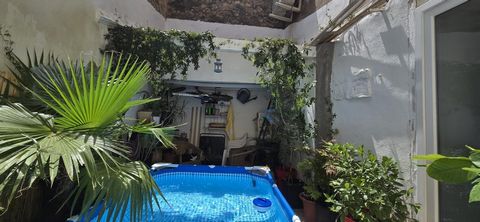 photo no. 11
