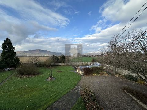 photo no. 2