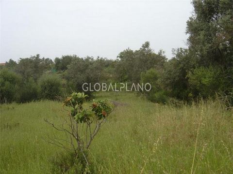 Plot of rustic land, located in Silves, has a total area of 10820 square metres, ideal for agricultural production.