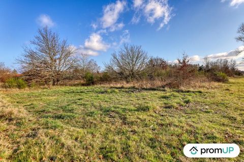 Easy to access by road, this flat and wooded land, with an area of nearly 1.6 hectares, will be perfect to carry out your project whether it is a commercial, artisanal, agricultural activity ... or simply to invest in a plot of land that may be build...