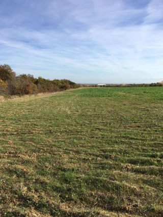 Price: €18.000,00 District: Plovdiv Category: Agricultural Plot Size: 19600 sq.m. Location: Countryside Agricultural land with a total of 19600m2 for sale in a close distance to the village. There is water in the Northern border of the land. There ar...