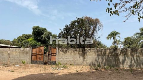 This valuable 800 square meters land has many potentials.The land is located in the northern part of Tujereng just about 5min walk to the highway and the beach is on the southern part. This plot of land is fenced, gated and has a built store with abo...