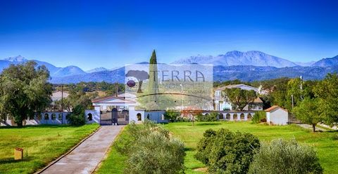 Terra Immobilier Solenzara, vous propose à la vente, en Haute-Corse, sur la commune de Linguizzetta (Bravone), une propriété qui de par son architecture, son élégance et ses très belles prestations vous feront voyager en Toscane. Cette propriété d'un...