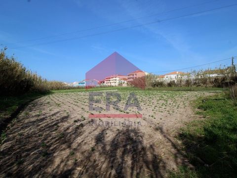1.200 sq.M Plot in Ferrel - Peniche. Inserted in a buildable area. Excellent location. Close to the beach. *The information provided is for information purposes only, not binding, and does not exempt inquiring the mediator. * Energy Rating: Exempt #r...