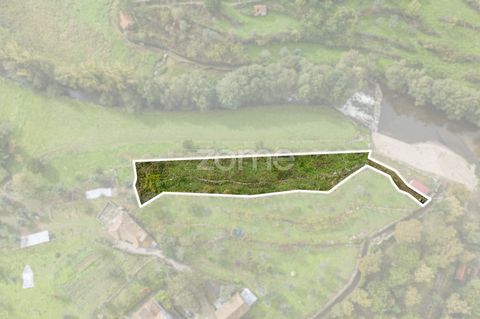Identificação do imóvel: ZMPT562264 Come and see your new project... Land on the river beach of Rio Ovil , with private access and next to the picnic park . The land it's in Ancede, Baião. Ideal for establishing support for the picnic park or support...