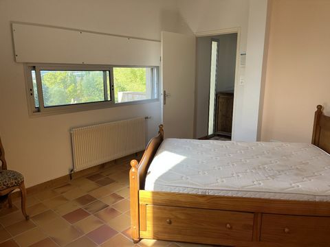 photo no. 16