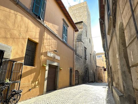 In Tarquinia in Via Mazzini, we offer for sale a 118 m2 commercial space, located in the heart of the charming historic centre, this commercial space with shop window is an architectural gem that captures the historical and cultural essence of the ci...